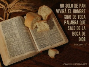 No-solo-de-pan-640