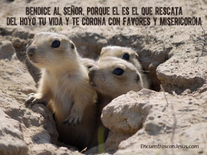 Bendice-al-Senor-640